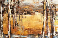 Nehybné splývání (Šumava) 40 x 40
