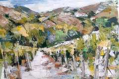 Mezi vinohrady 25 x 30